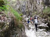 Splendida Val Vertova! Sul sentiero 527 fino al Sedernèl e Bivacco Testa con discesa dal sentiero 529 dal Passo di Bliben il 25 aprile 2010 - FOTOGALLERY 